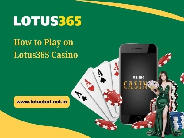 How to Play on Lotus365 Casino