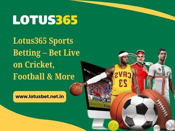 Lotus365 Sports Betting – Bet Live on Cricket, Football & More
